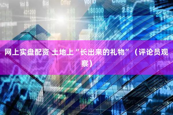 网上实盘配资 土地上“长出来的礼物”（评论员观察）